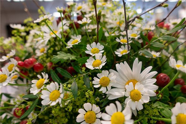 名字打分測試:吳鳴玉