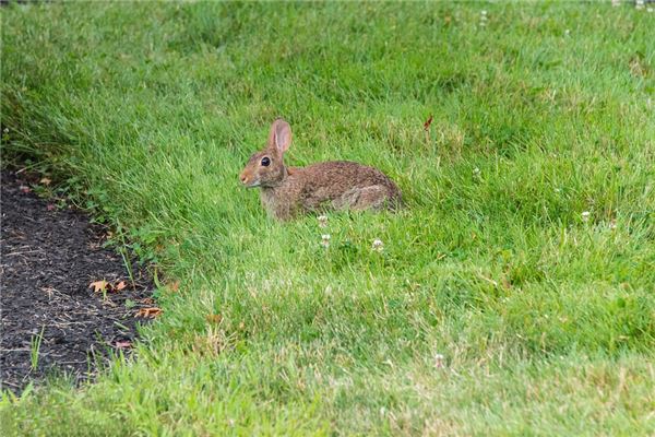 公司起名_名字測(cè)算命運(yùn)
