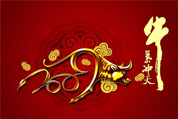 何羽童的姓名打分結果_何羽童五行分析