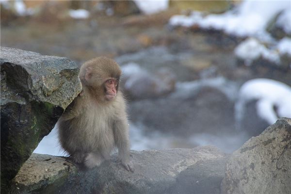姓名得分測試_周陶