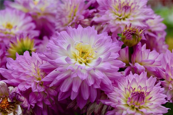 盛國民的姓名打分結(jié)果_盛國民五行分析