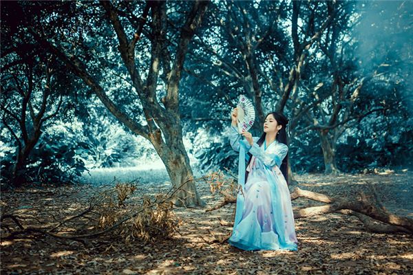 姓名董海祺打分得分_取名董海祺五格分析