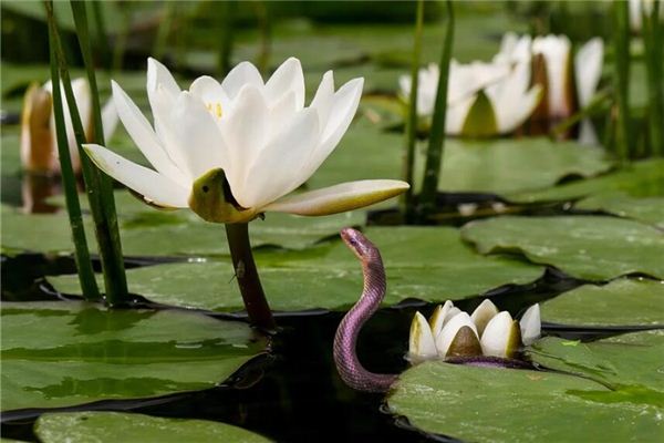 男孩取名_田鐵武