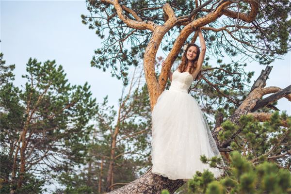 黃英俠的姓名打分結果_黃英俠五行分析