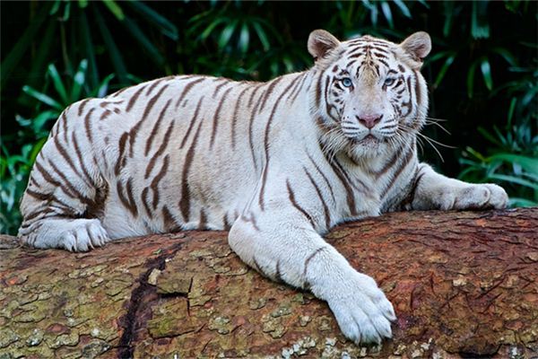 2021姓名取名技巧_男孩好聽有內(nèi)涵的名字