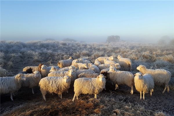 網絡名字_免費算名字