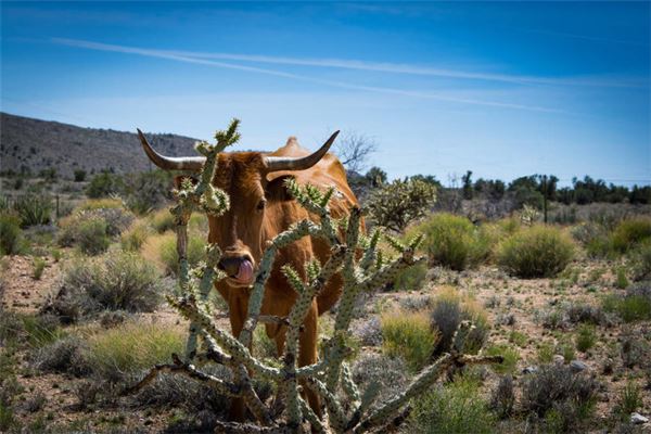 好聽(tīng)的女裝網(wǎng)店名字