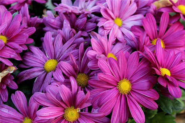 寶寶起名_周君潔