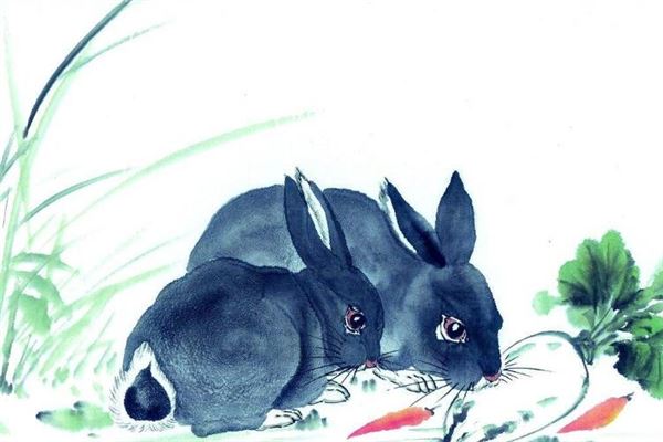 柯義浤的姓名打分結果_柯義浤五行分析