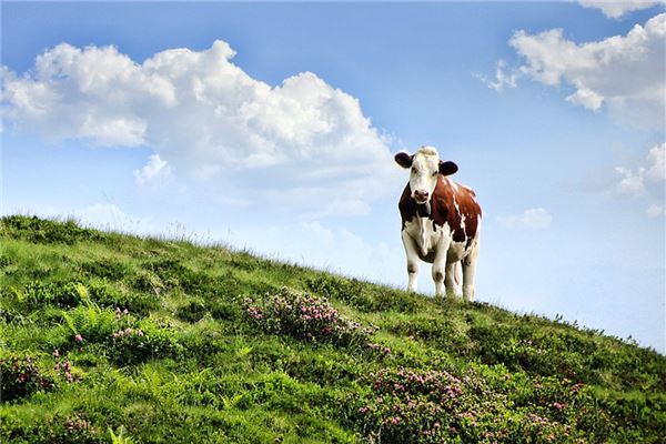 王宏崢的姓名打分結果_王宏崢五行分析
