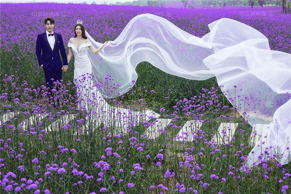 免費(fèi)取名_鄭英哲