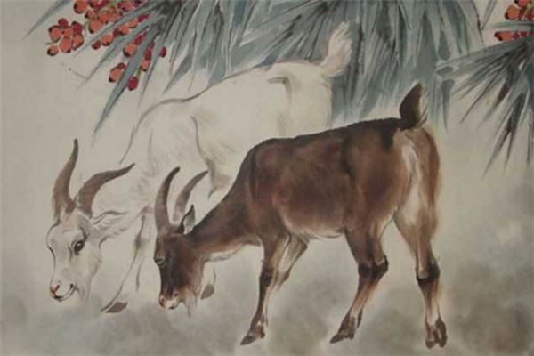 專業(yè)取名_如何給公司取名字