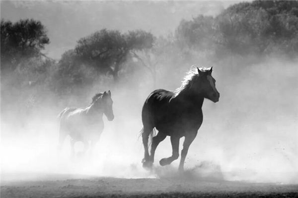 王紫藤的姓名打分結(jié)果_王紫藤五行分析