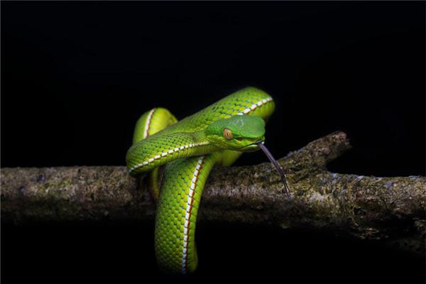 表達(dá)愛(ài)情的名字