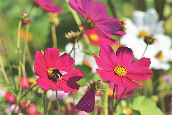 游戲起名_周詩懷