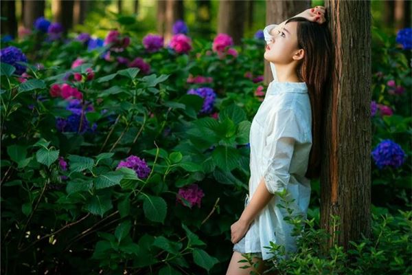 王洗平的姓名打分結果_王洗平五行分析