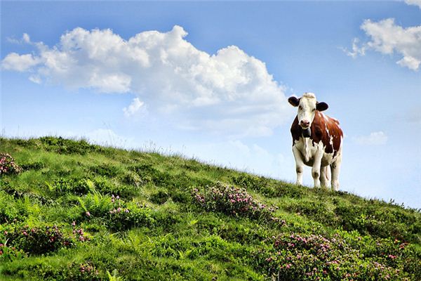 張小馨的姓名打分結果_張小馨五行分析