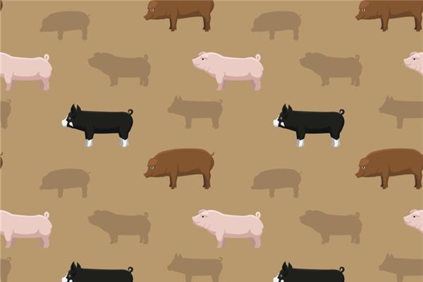 孫語晨的姓名打分結果_孫語晨五行分析