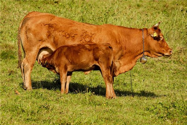 歐炫雅的姓名打分結果_歐炫雅五行分析