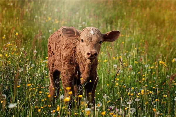 免費(fèi)取名_周驪英