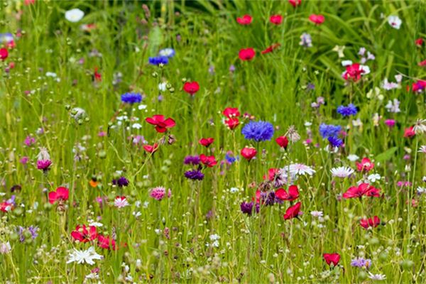 好聽的名字_取名字測試