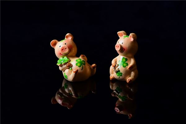 羅潔琪的姓名打分結果_羅潔琪五行分析