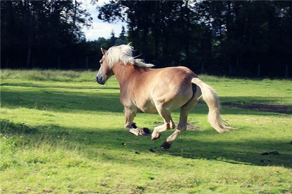 寶寶起名_鄭海秋