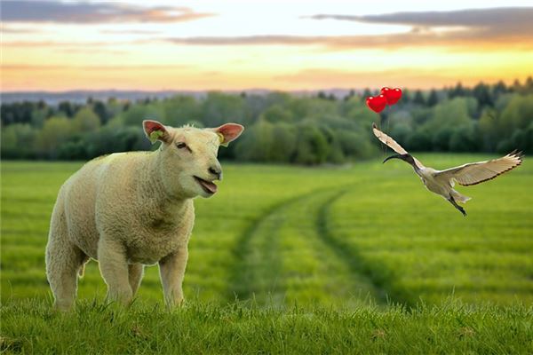 2021姓名取名技巧_峻字開頭男寶寶名字