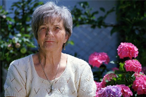 名字帶辰的名人