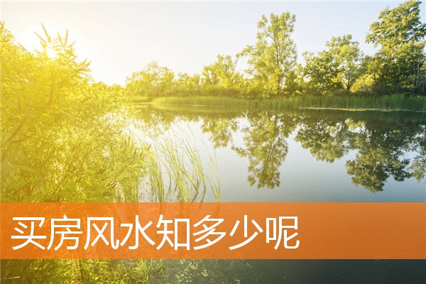 姓名張洪堡打分得分_取名張洪堡五格分析