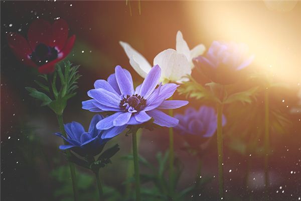 姓名得分_孫初然