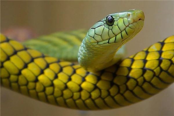 名字推薦_周冰藍