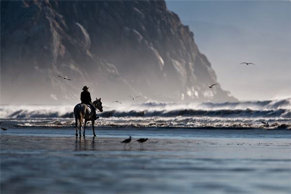 寶寶怎么取名_牛寶寶時尚好聽乳名大全