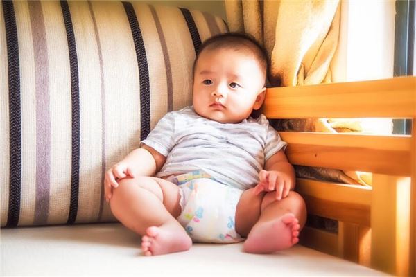 藝術培訓機構名字大全