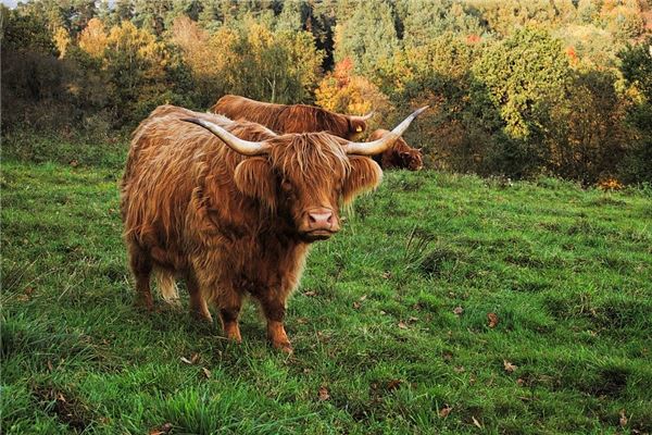 姓名得分測試_周惜芹